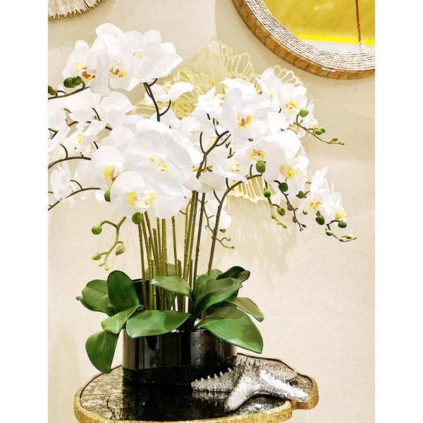 12 Stalks of Orchid in Black Vase