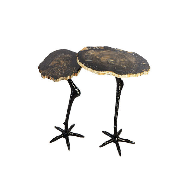 Petrified Wood Table w/Ostrich legs
